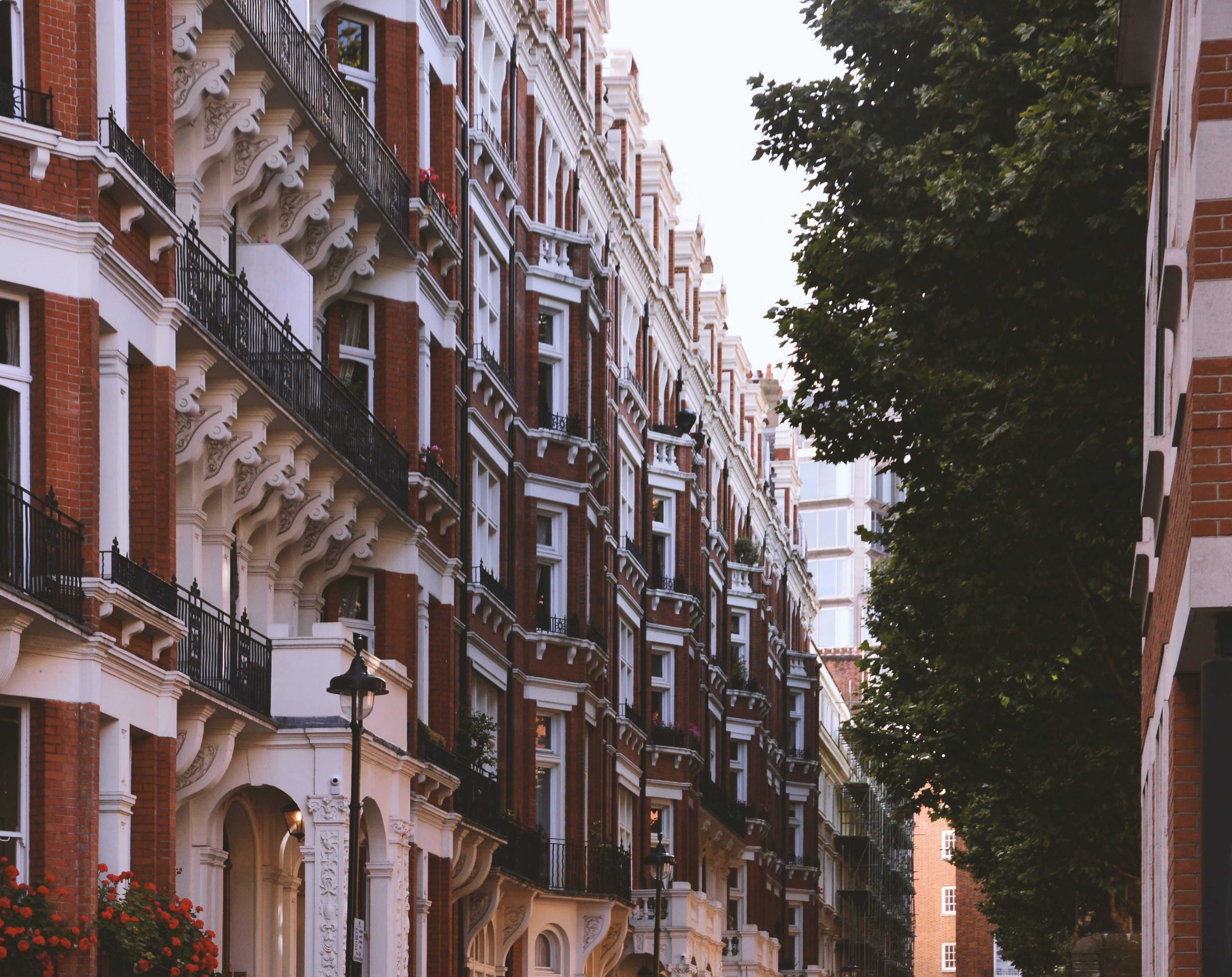 arvydas-venckus-4q8u5CwPH9U-unsplash arvydas-venckus-4q8u5CwPH9U-unsplash
