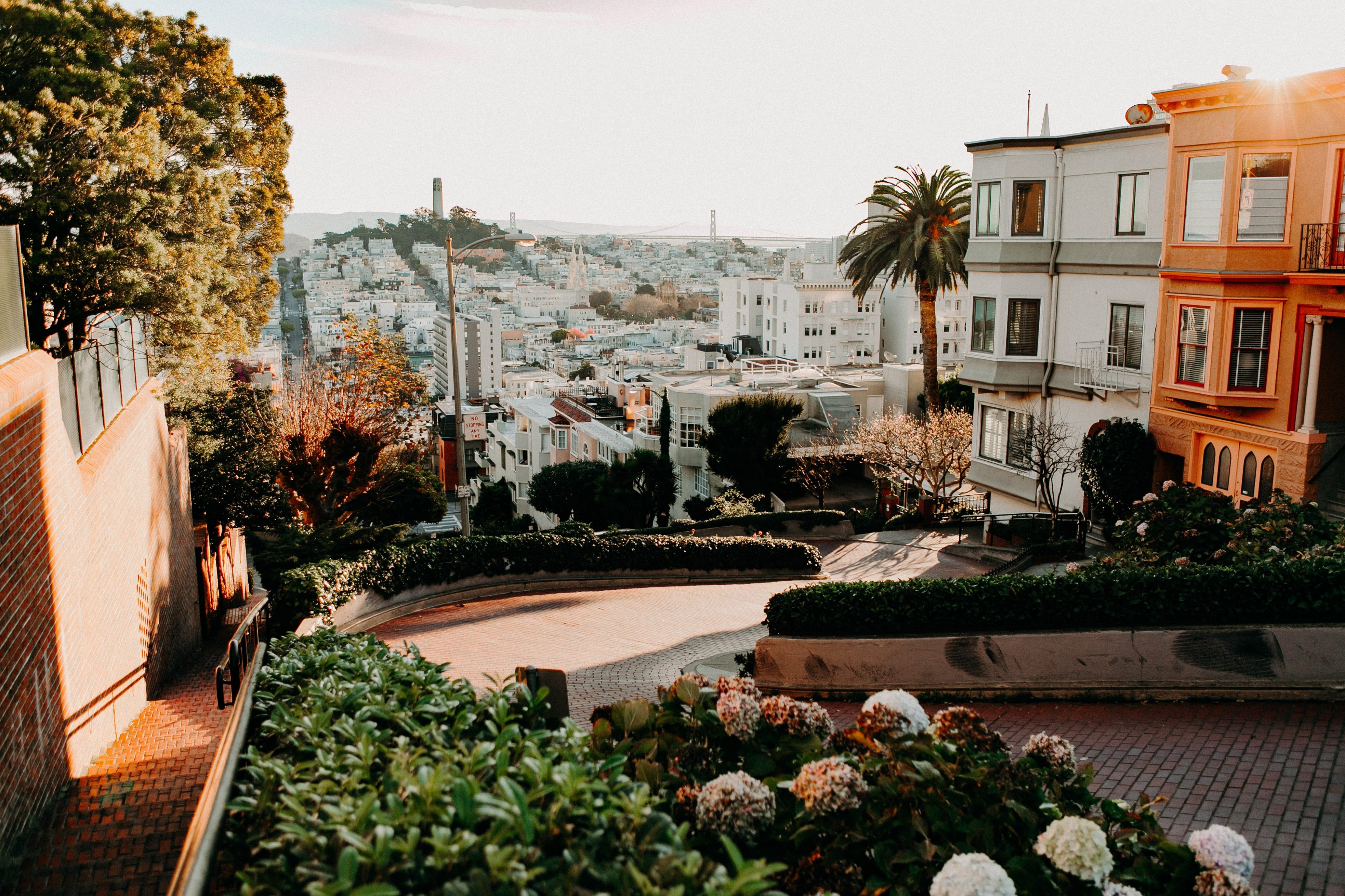 braden-collum-AFlG5jpMvYg-unsplash braden-collum-AFlG5jpMvYg-unsplash