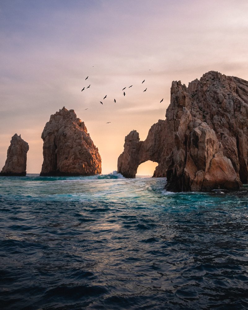 christopher-kuzman-2LhCDvS_7xs-unsplash (1) christopher-kuzman-2LhCDvS_7xs-unsplash (1)