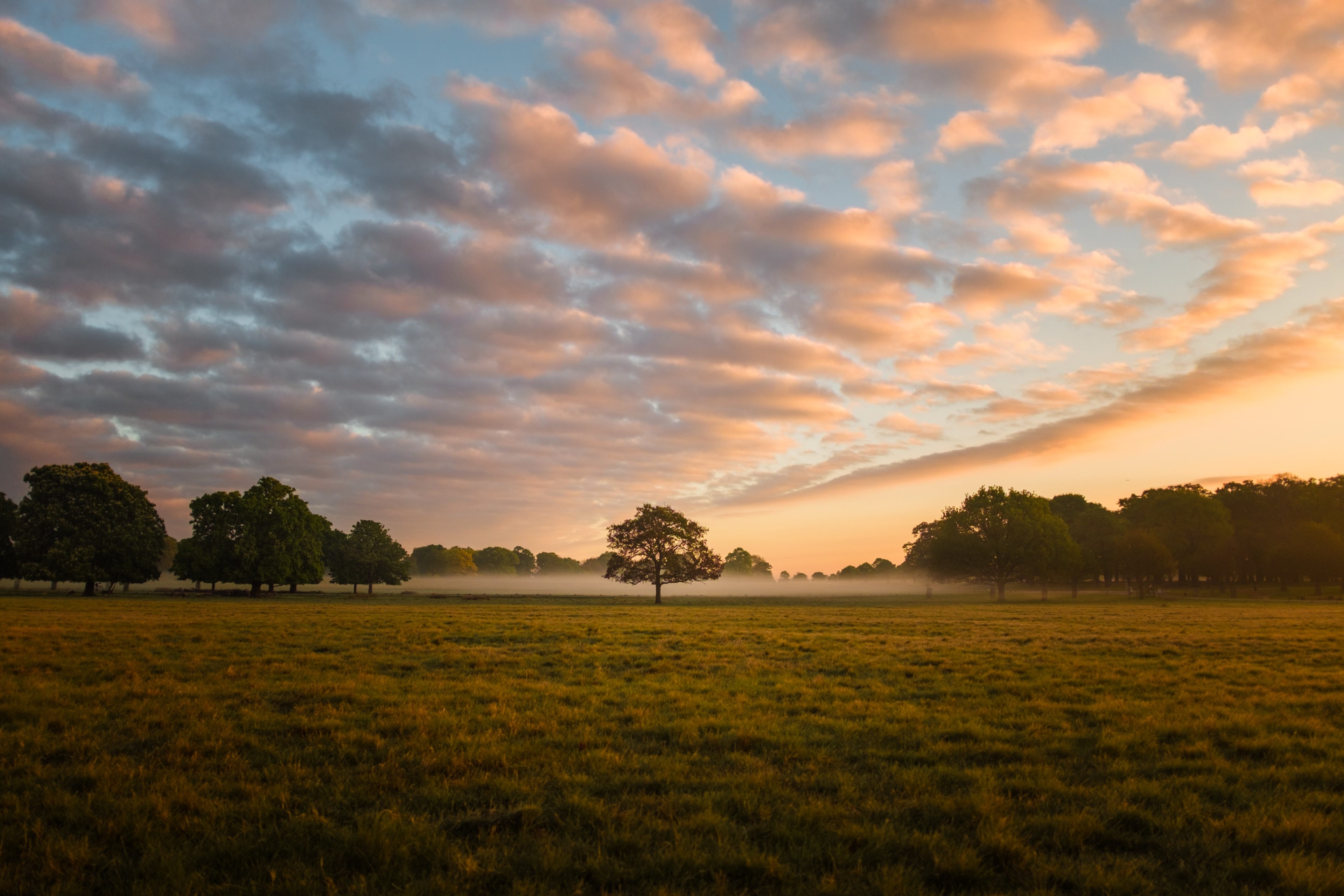 simon-wilkes-RbjSCrgH5to-unsplash simon-wilkes-RbjSCrgH5to-unsplash